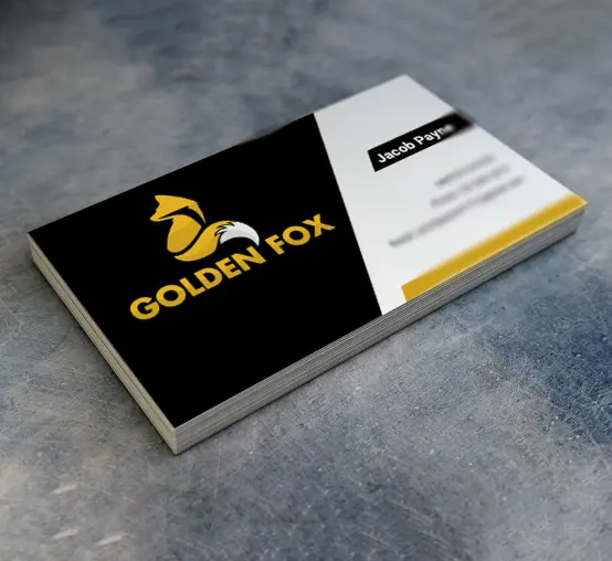 The Tech Evo Branding Logo